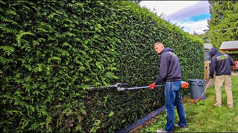 Elderly Homeowner RIPPED OFF By Gardener While She Attended CHURCH