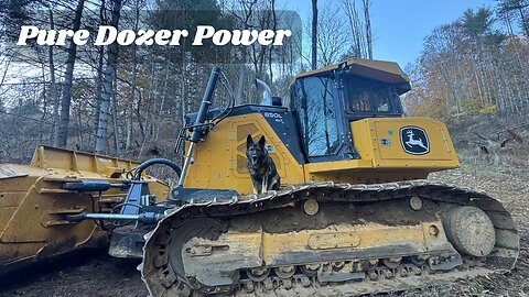 Raw Dozer Footage: Hurricane Helene Cleanup in Action (17 Minutes)