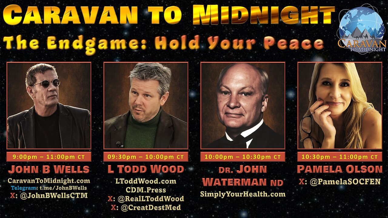 The Endgame: Hold Your Peace - John B Wells LIVE