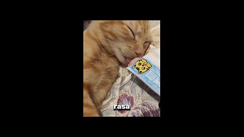 Edisi jahilin majikan yang lagi tidur