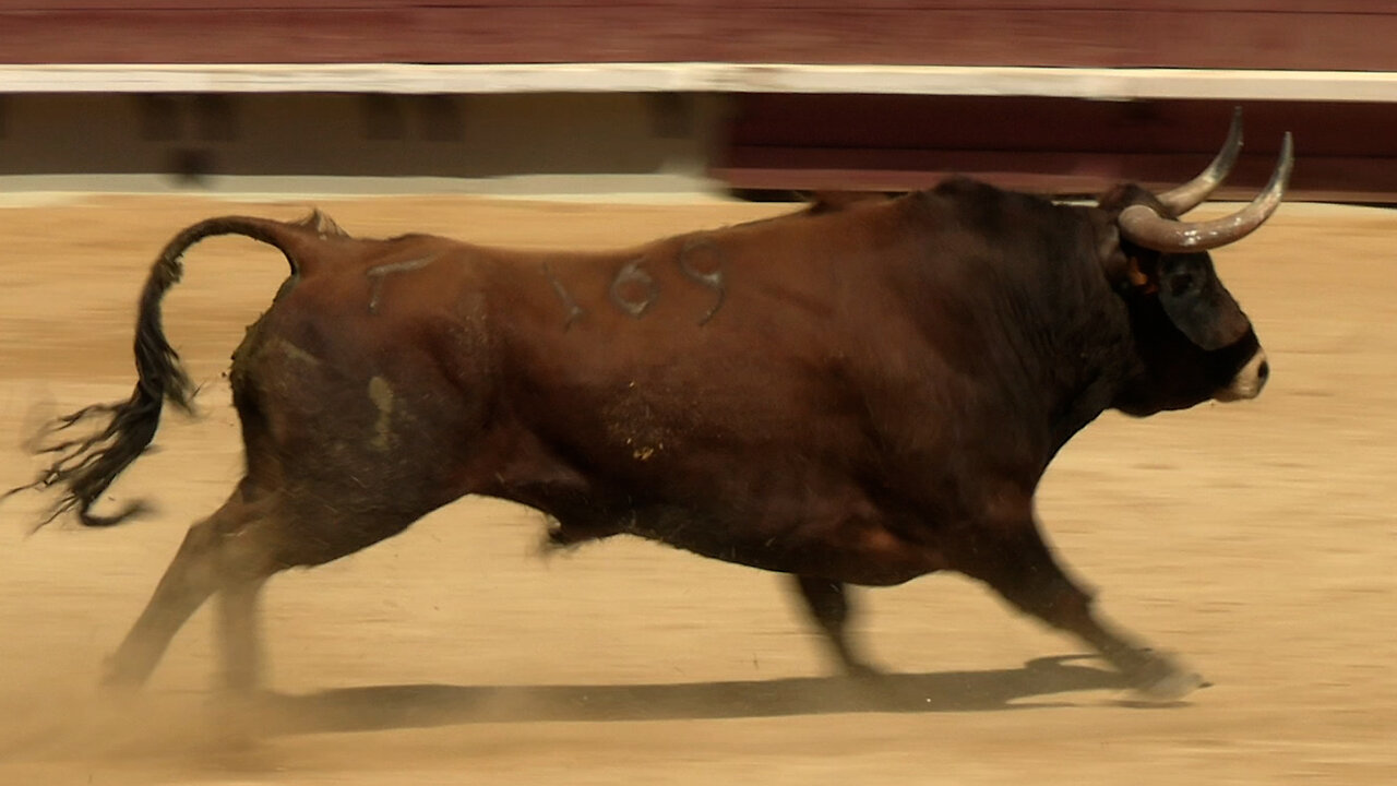 2025 03 30 CASTELLÓN CONCURSO RECORTES
