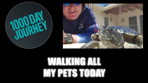 1000 Day Journey 0685 Walking All My Pets Today
