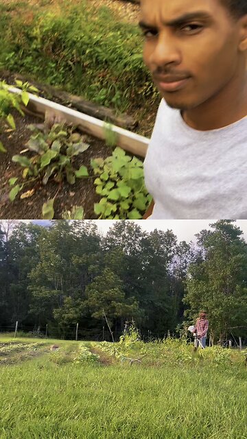 Grow Beats with me 🫜