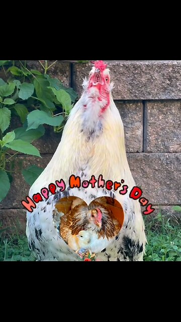 Happy Mother’s Day 2025!