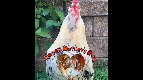 Happy Mother’s Day 2025!