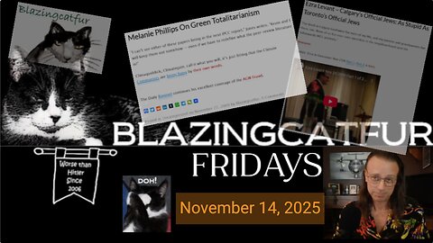 Blazing Cat Fur Fridays - November 14, 2025