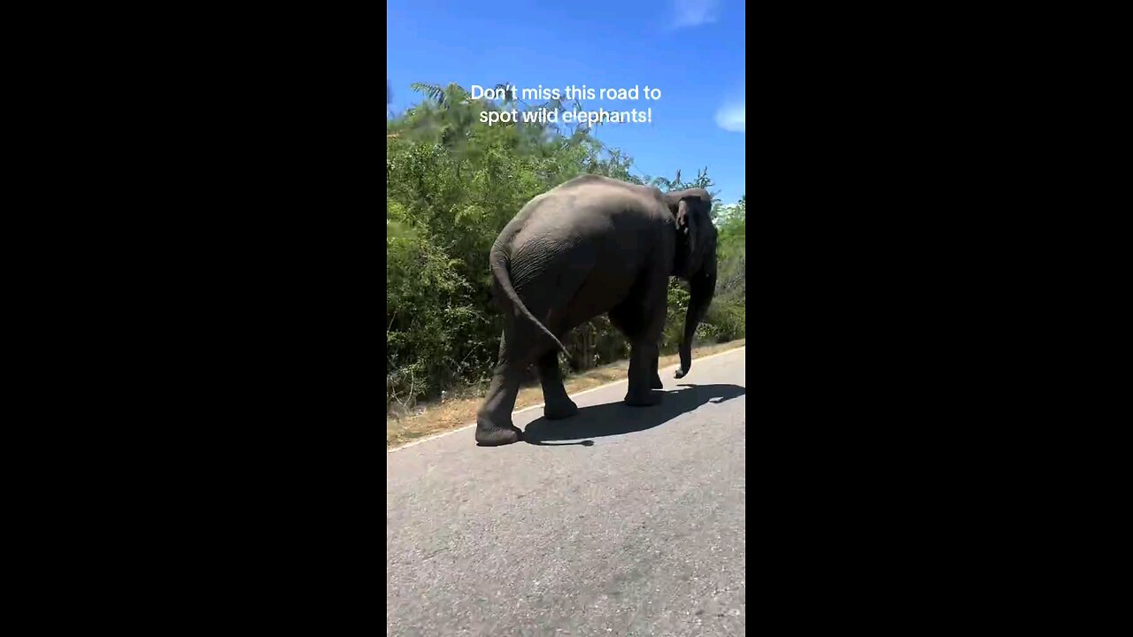 Welcome to Sri Lanka 🇱🇰