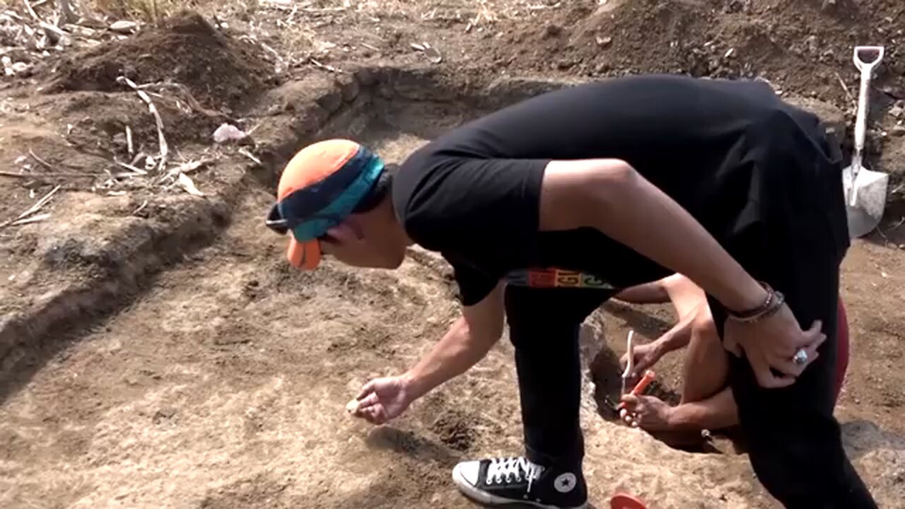 Ancient tools in Indonesia suggest humans crossed oceans early