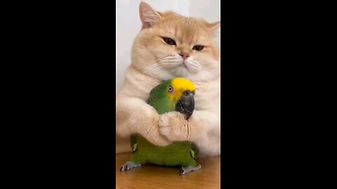 When Love Feels Like a Hostage Situation