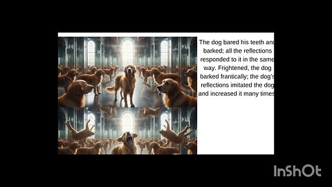 English Stories the reflection