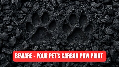 BEWARE Your Pet's Carbon Paw Print