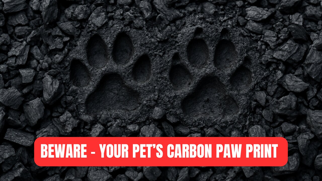 BEWARE Your Pet's Carbon Paw Print