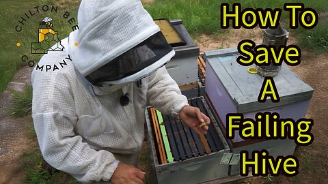 How To Save a Failing Hive