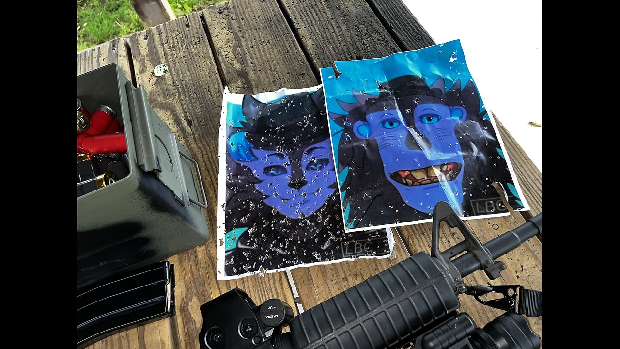 Target Practicing With AR-12 and AR-15 #333