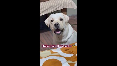 मेरी मम्मी