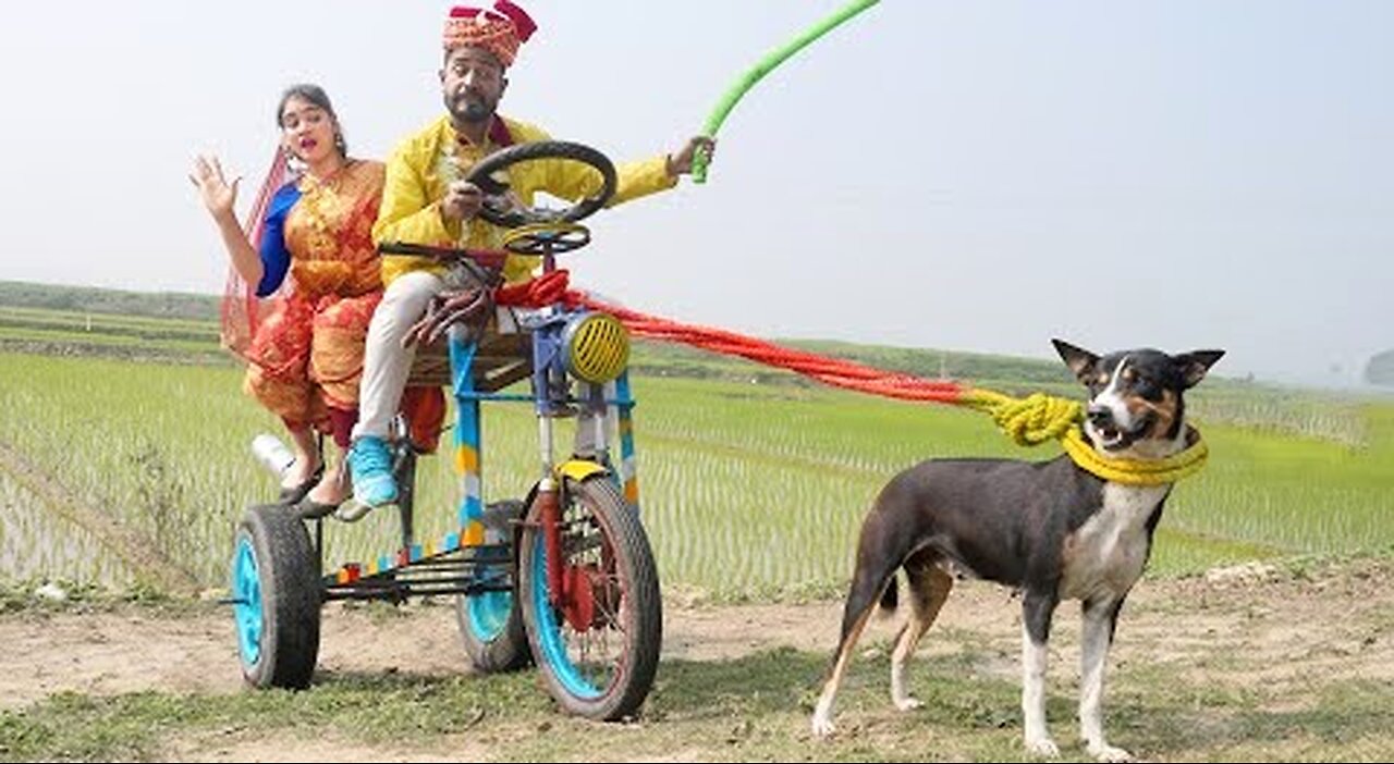 Exclusive Trending Comedy Video 2025 New Amazing Funny Video 2025