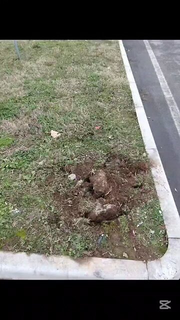 che succede a Magenta?