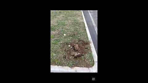 che succede a Magenta?