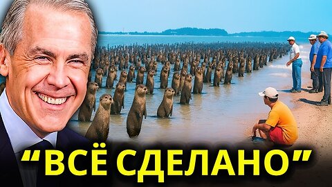 The extinct sea saved a hundred otters Unbelievable result