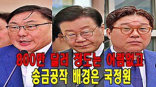 800만 달러 정도는 어림없고, 송금공작 배경은 국정원