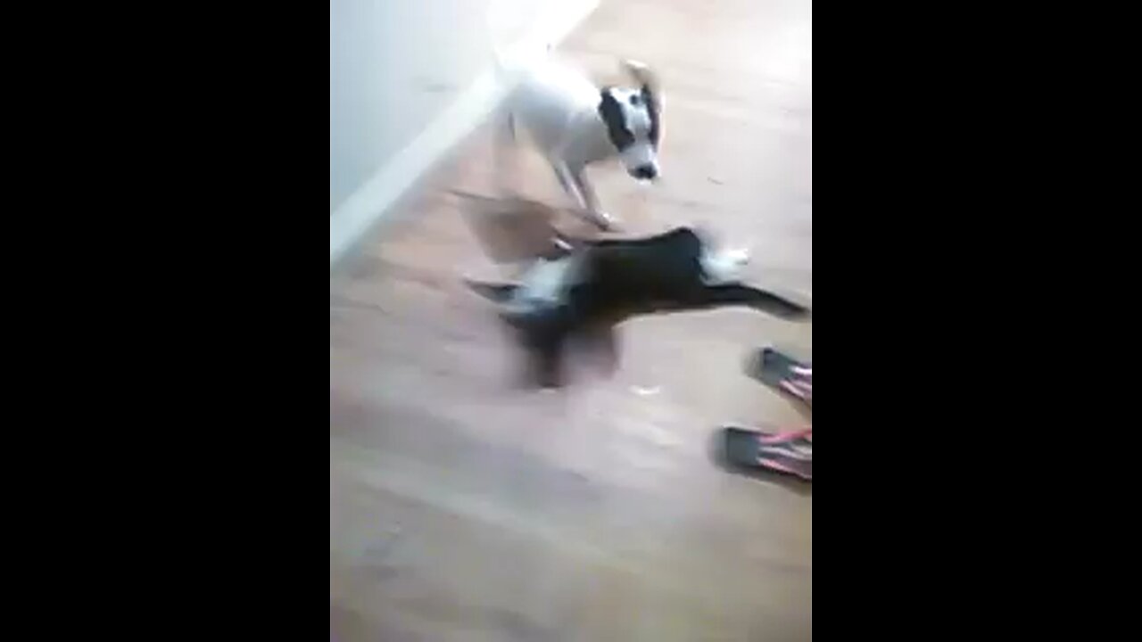 lol