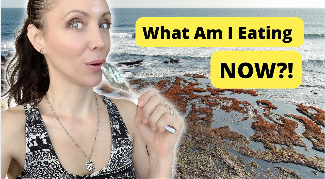 Why I Started Eating Sea Moss!