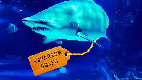 Inside the Aquarium: Secrets of Soviet Military Intelligence | NotebookLM Deep Dive