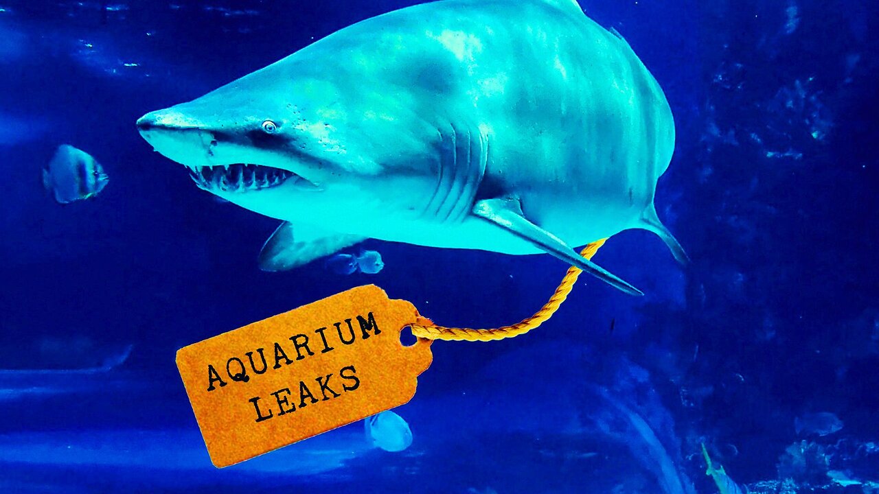 Inside the Aquarium: Secrets of Soviet Military Intelligence | NotebookLM Deep Dive