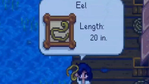 To Catch An Eel 🎣