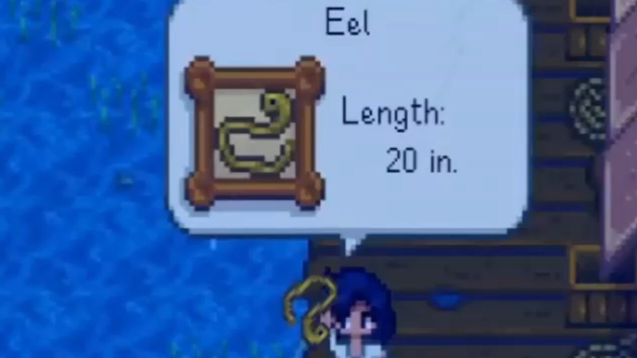 To Catch An Eel 🎣