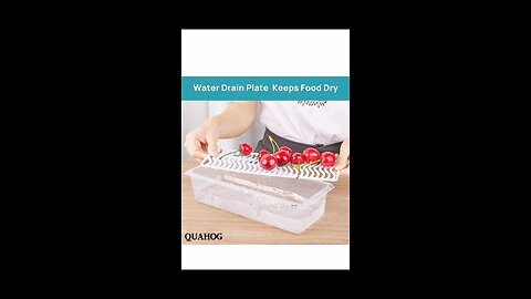 QUAHOG Fridge Storage Containers