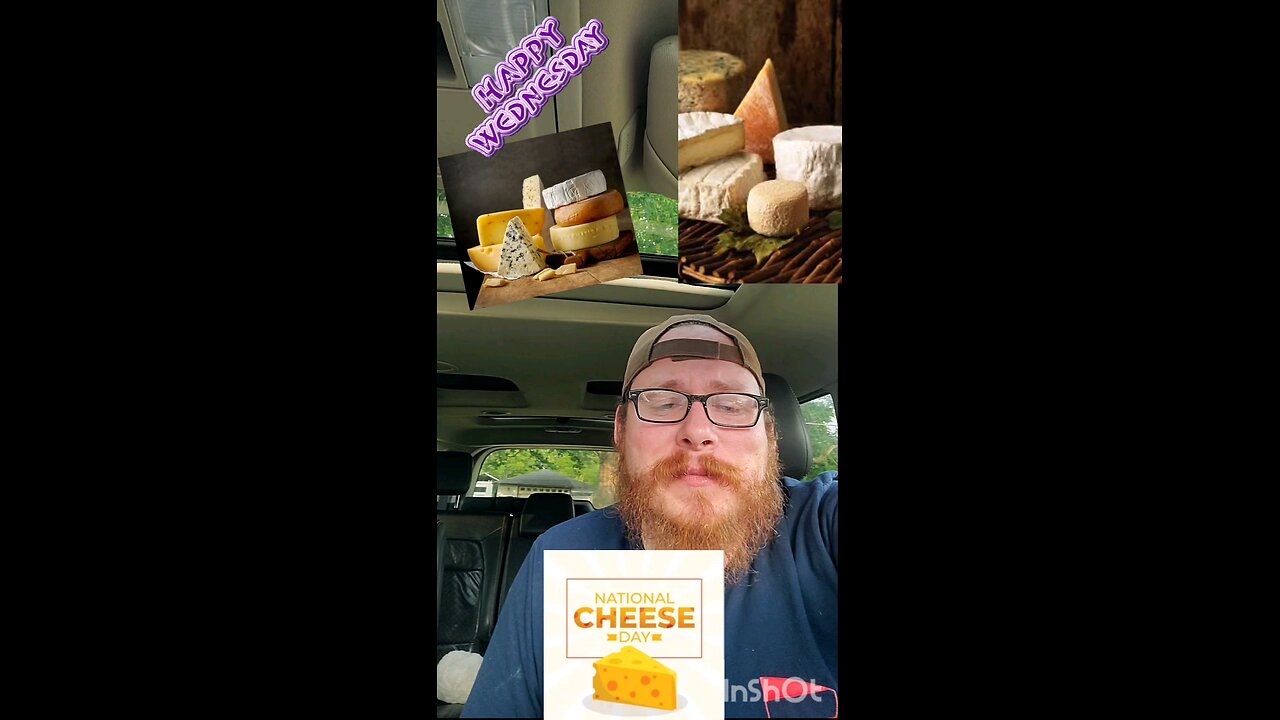 Wednesday Cheese and cats hugs.