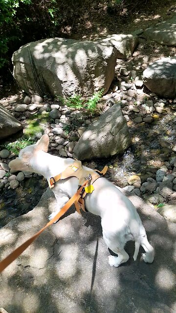 250606. I believe God.