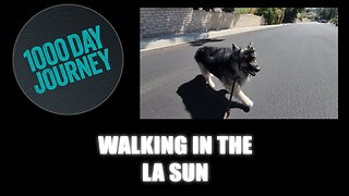 1000 Day Journey 0643 Walking in the LA Sun