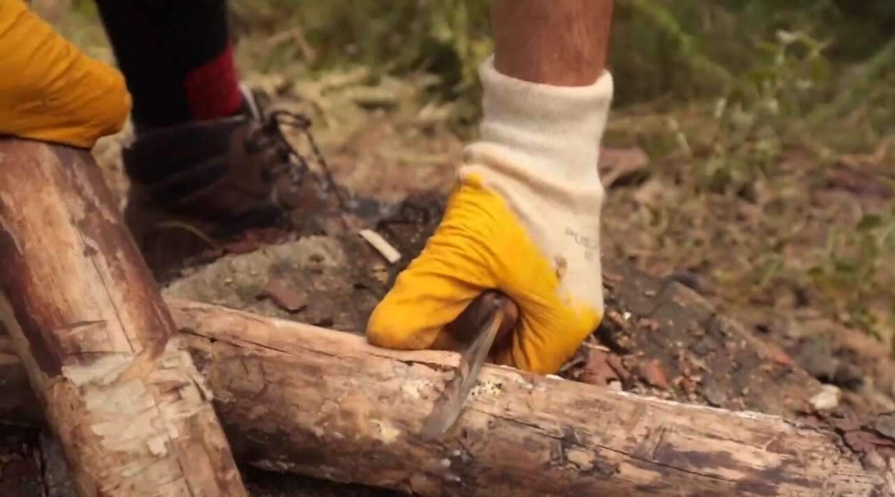 Splitting Wood With Just A knife 🔪 🪵