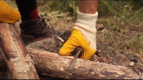 Splitting Wood With Just A knife 🔪 🪵