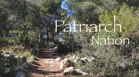 Covenants 4 - Patriarch to Nation