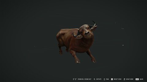 Who's Hunting Who?? Scene 7 Water Buffalo Tag Team, and I Lose!