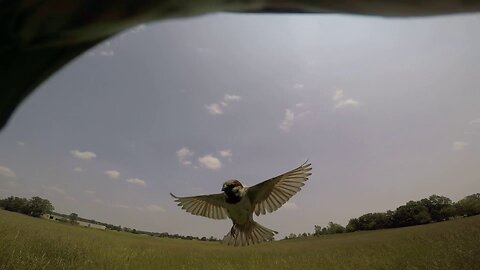 Time Lapse Tuesday June 3 2025