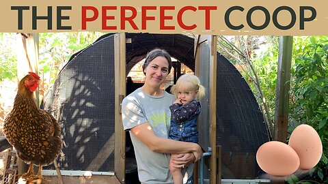 BEST Chicken Coop for ANY Budget + Tips for Designing a Chicken Coop