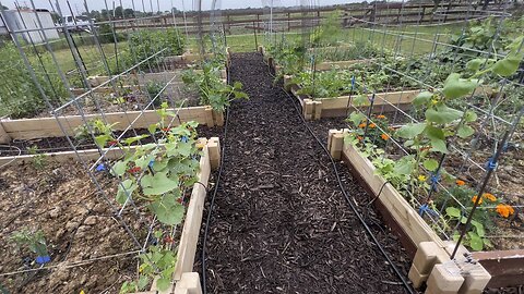 Garden tour 2025