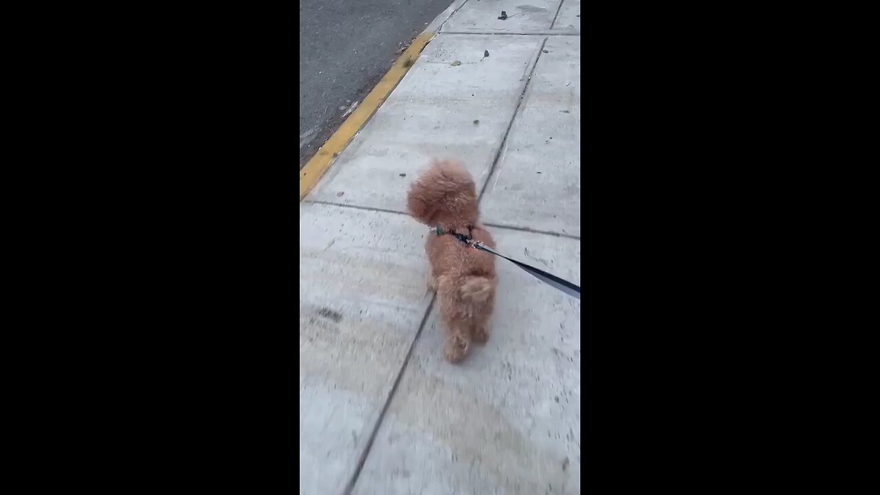 walk