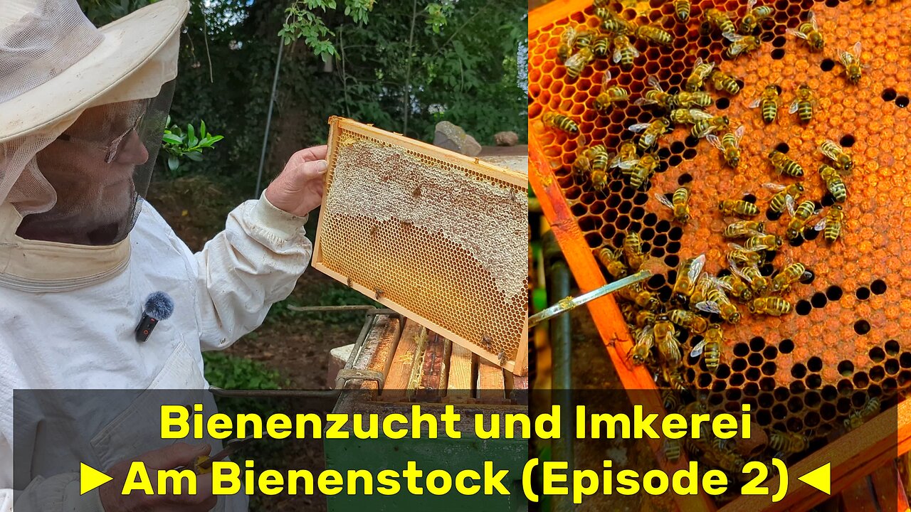 Bienenzucht und Imkerei mit Hartmut [Episode 02] 🇩🇪 (2024-05)