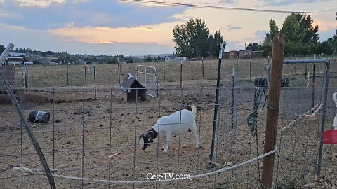 Graham Family Farm NW: 7:40 PM August 28 2025