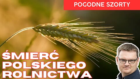 Mercosur i Ukraina - jeźdźcy apokalipsy dla polskiego rolnika i Twojego zdrowia| Pogodne Szorty #264