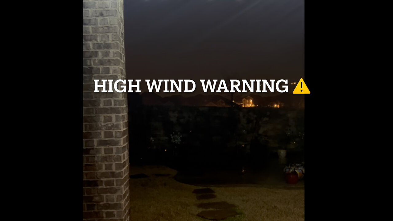 Surviving our First Texas Thunderstorm! Plus Shortcut Fried Rice Recipe