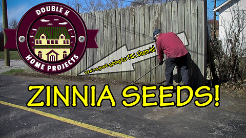Trying to get ahead on SPRING Planting: CLEANING out Fence Row and PLANTING Zinnia's