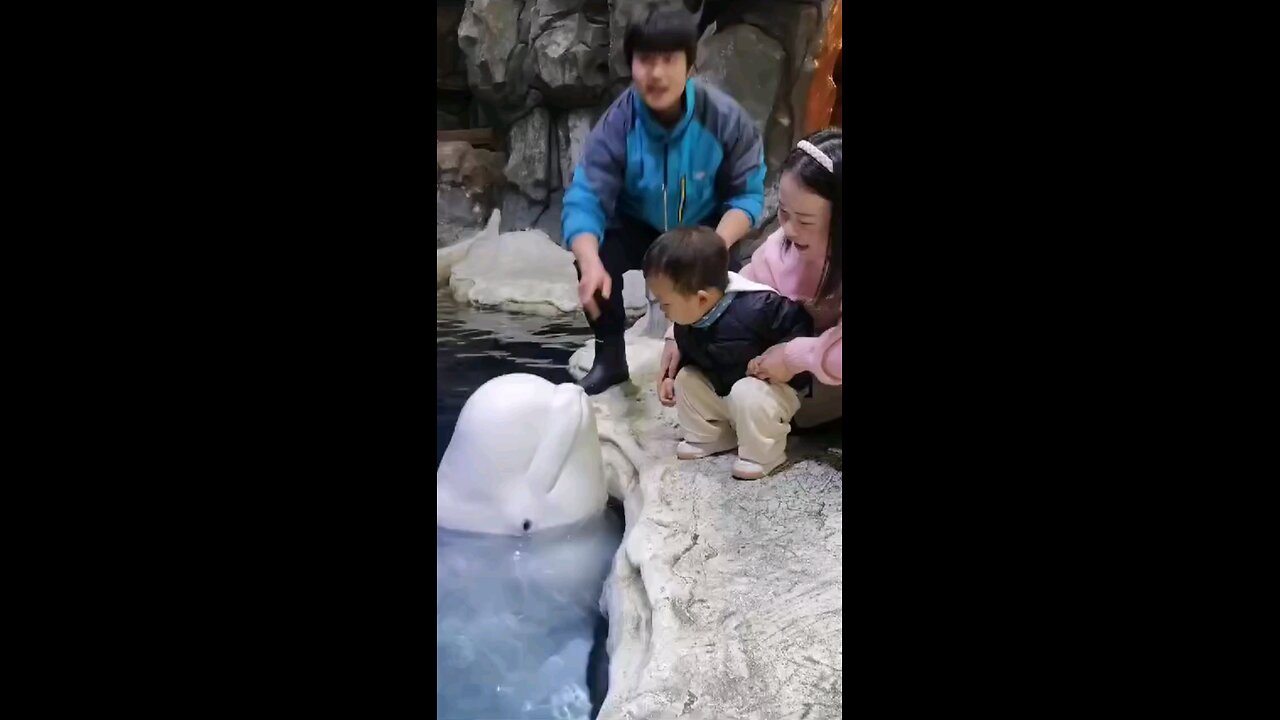Baby with Dolphin