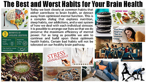 The Best and Worst Habits for Your Brain Health