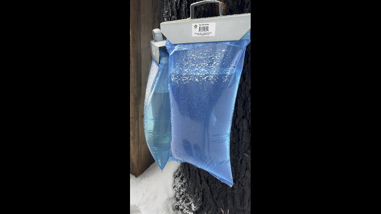 Maple Syrup Production wrapped up a couple weeks ago!